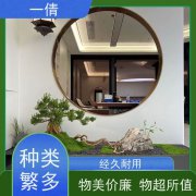 一倩花卉 苹果树 绿植租赁出售 种类繁多 规格齐全