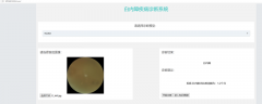 基于眼底图像的白内障人工识别系统