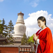 太原/石家庄出发山西五台山1日游多套餐可选择【财运*智慧*姻缘】