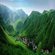 上门接送包车游】安吉中国大竹海+‌中南百草原跟团一日游