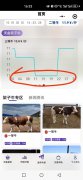 畜牧业小程序开发