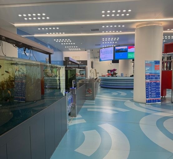 宁波奥体中心游泳馆 宁波奥体中心游泳馆