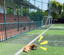 宁波江北甬盛足球场