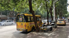 肇庆市端州区和平路10号首层106之三