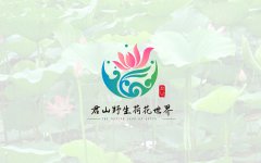 卡通logo设计动物ip形象人物画像logo设计